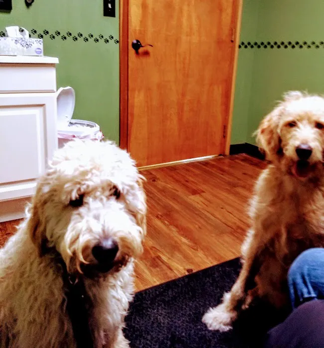 Ashland Veterinary Clinic 8