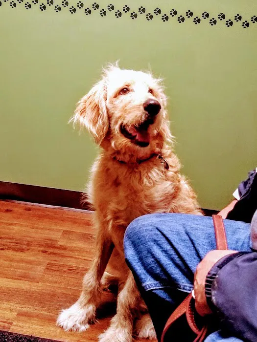 Ashland Veterinary Clinic 3
