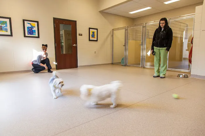 Cleveland Road Animal Hospital, Inc 12