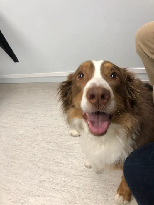 Ark Veterinary Hospital 12