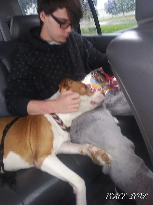 Ark Veterinary Hospital: Scrafford Kristen DVM 12