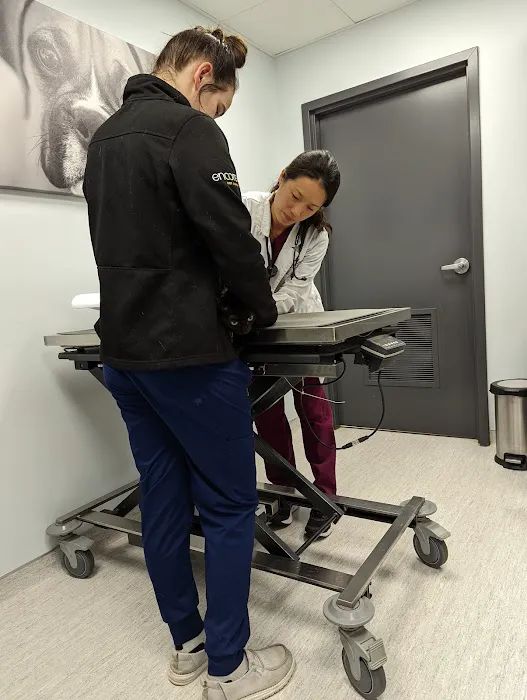 Ark Veterinary Hospital: Scrafford Kristen DVM 12