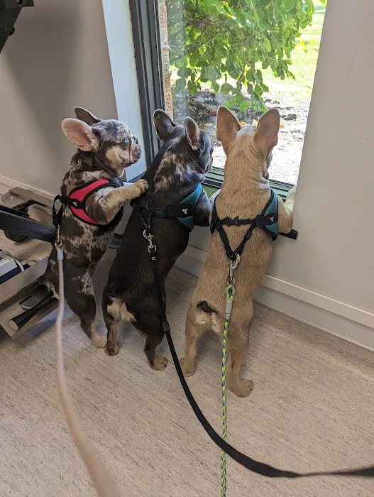 Ark Veterinary Hospital: Scrafford Kristen DVM 12