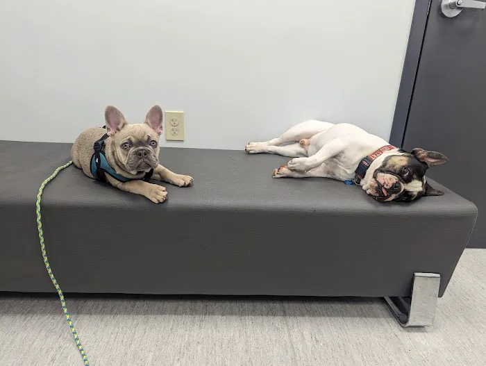 Ark Veterinary Hospital: Scrafford Kristen DVM 12