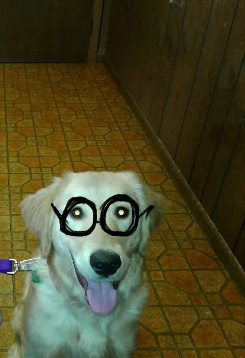 Hayward Animal Hospital 1