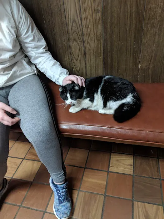 Cadott Animal Clinic 12