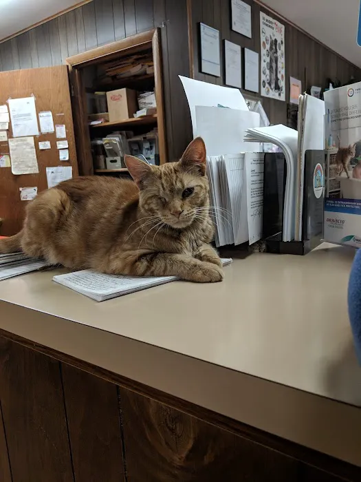 Cadott Animal Clinic 12