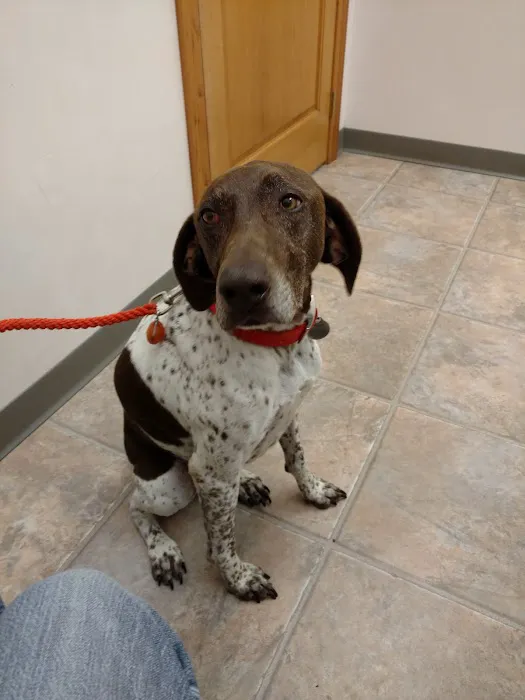 Moose Lake Veterinary Clinic 12