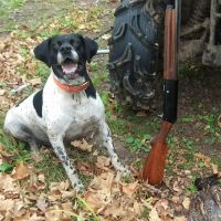 Moose Lake Veterinary Clinic ico
