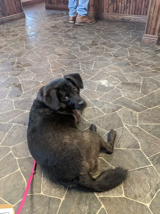 Webster Veterinary Clinic 1