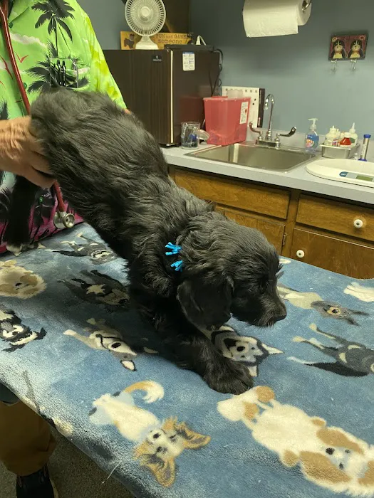 Watkins Veterinary Clinic 8