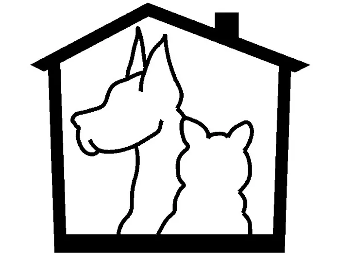 Vetmobile Housecall Veterinary Service 12