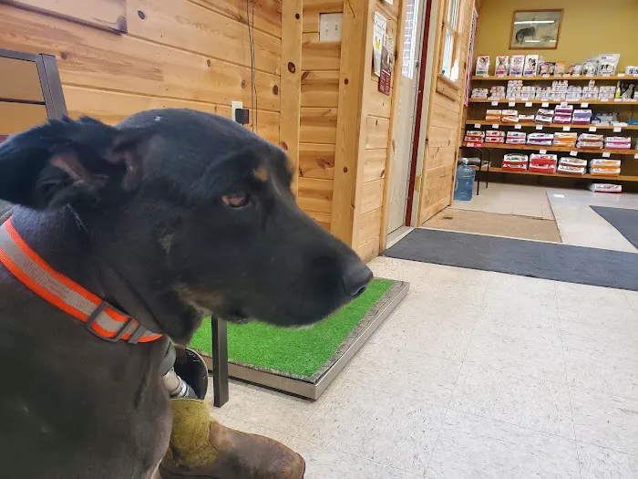 Chosen Valley Veterinary Clinic 9