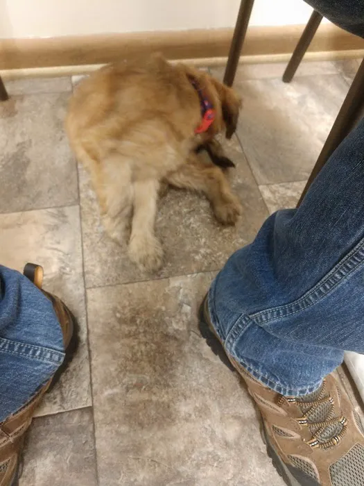 Stewartville Animal Clinic 4
