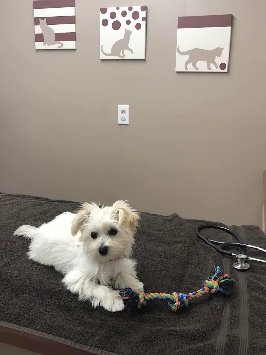 Stewartville Animal Clinic 2