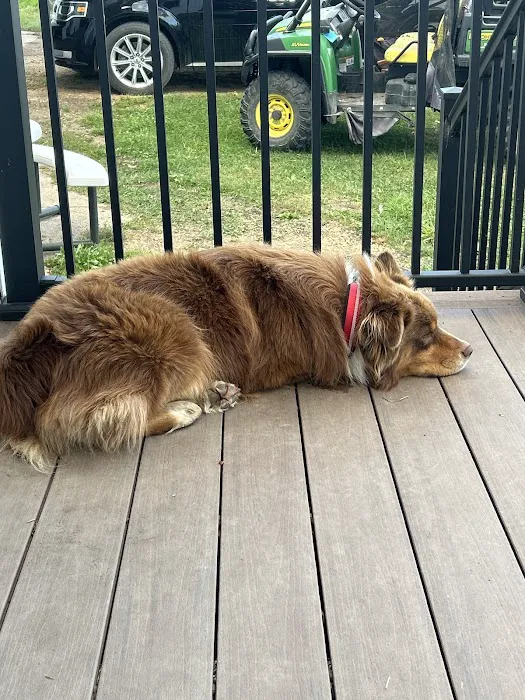 New Ulm Regional Veterinary Center 12