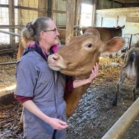 Animal Health Services ico