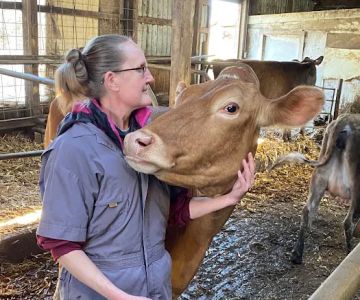 Animal Health Services