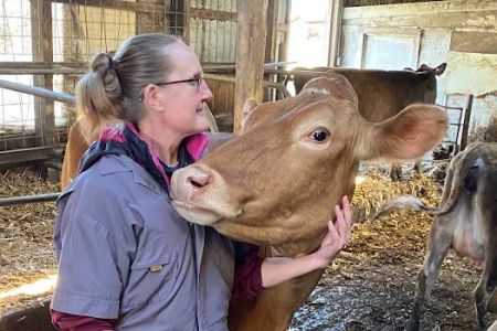 Animal Health Services