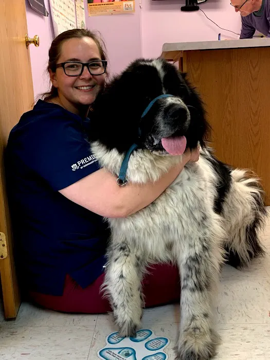 Animal Health Services 12