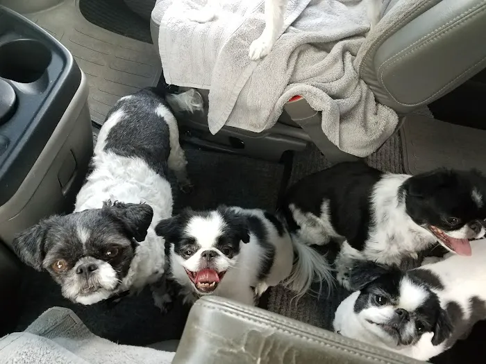 Fairfax Veterinary Clinic, LLC 12