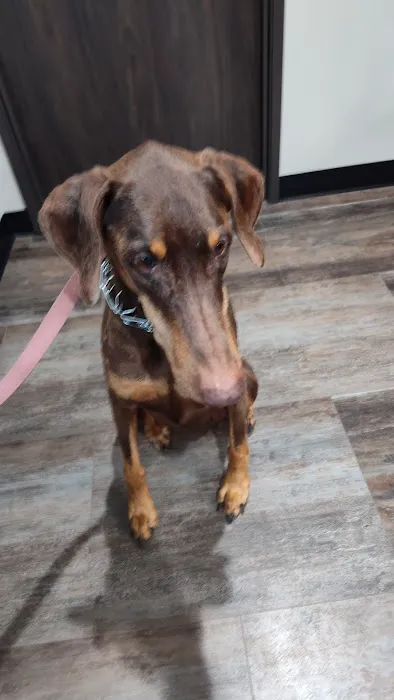 Fairfax Veterinary Clinic, LLC 12