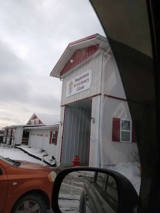 Mapleton Veterinary Clinic 6