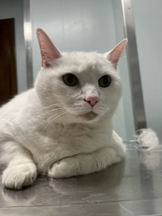 Litchfield Veterinary Clinic 10