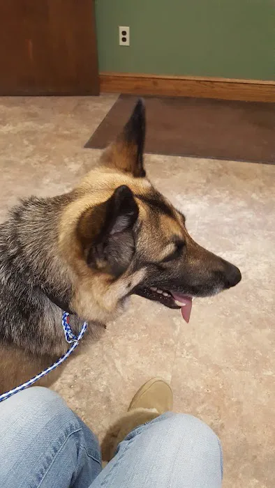 Litchfield Veterinary Clinic 7