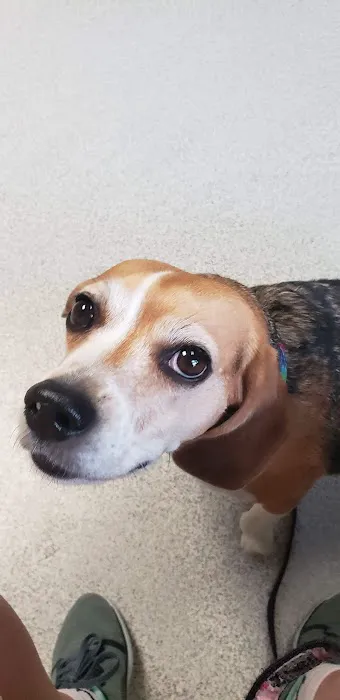 Tri County Animal Clinic Inc 12