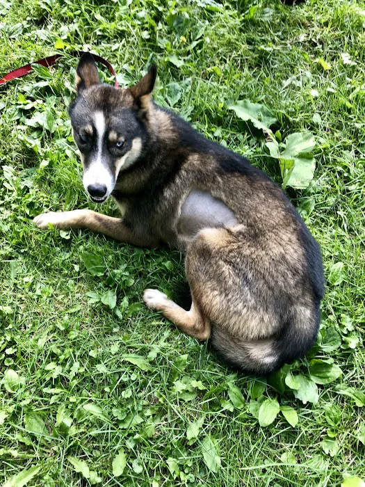 Tri County Animal Clinic Inc 12