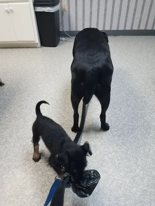 Tri County Animal Clinic Inc 12