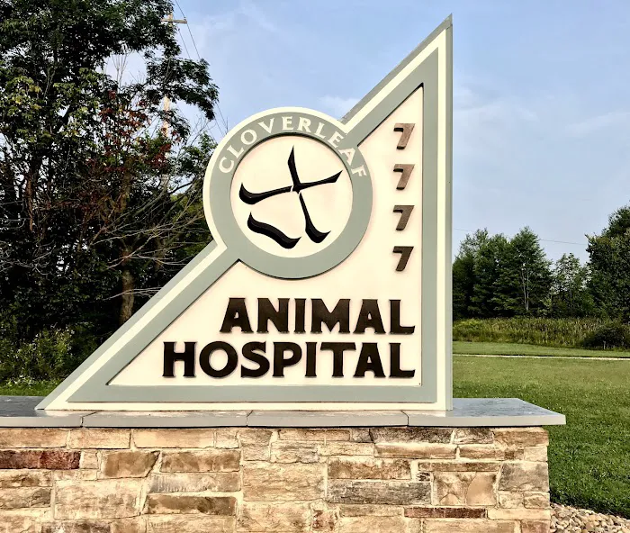 Cloverleaf Animal Hospital 12