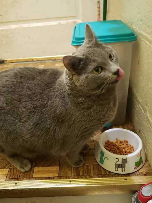Mission Possible Animal Hospital 12