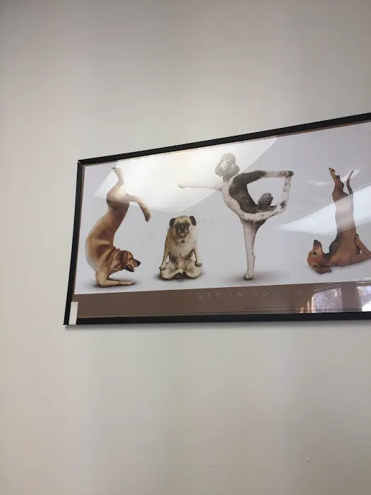 Happy Pet Veterinary Hospital 12