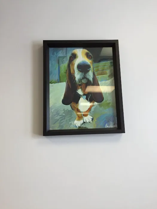 Happy Pet Veterinary Hospital 12