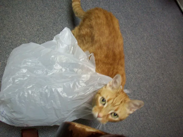 Columbia Animal Clinic 9