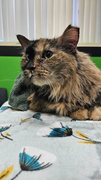 Columbia Animal Clinic 1