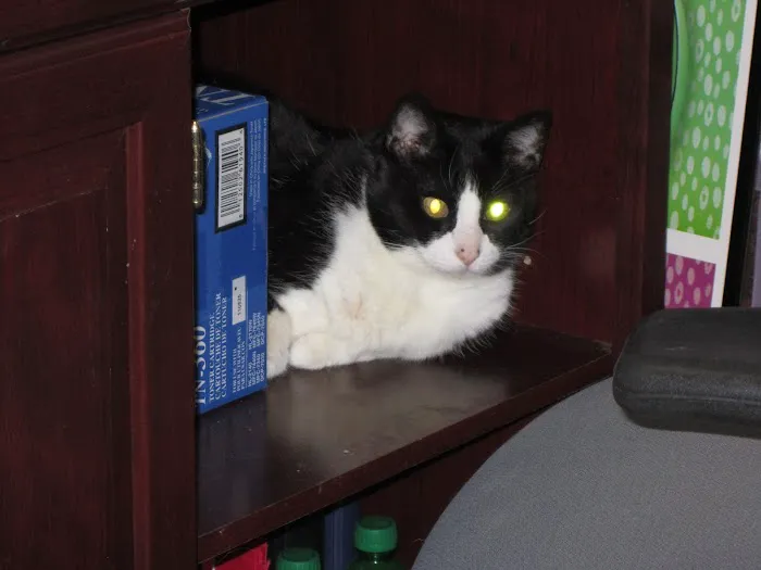 Columbia Animal Clinic 5