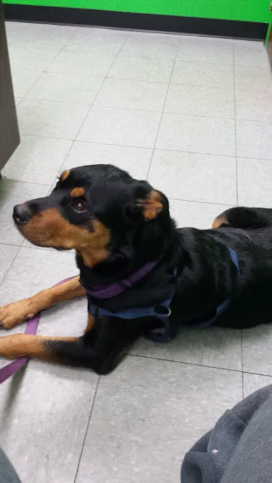 Columbia Animal Clinic 4
