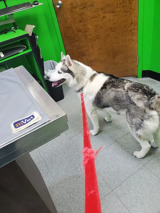Columbia Animal Clinic 8