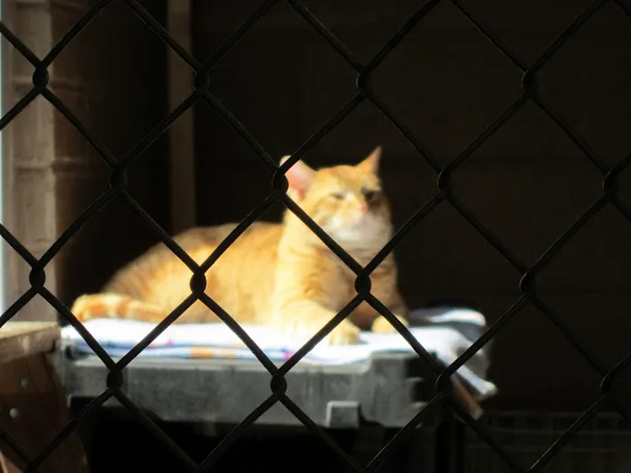 Columbia Animal Clinic 7