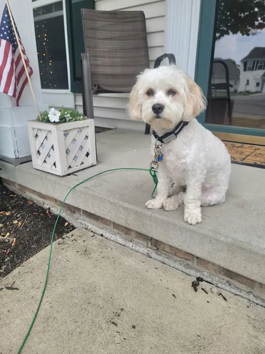 Columbia Animal Clinic 3