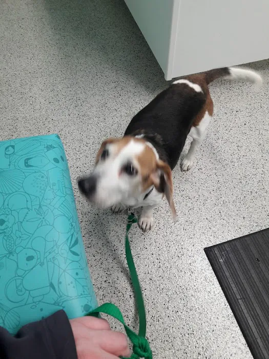 Bretton Ridge Animal Clinic 6