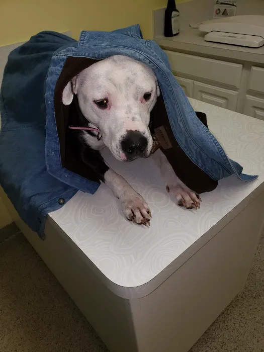 Bretton Ridge Animal Clinic 8