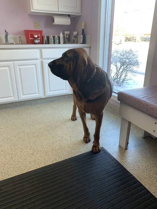 Bretton Ridge Animal Clinic 10