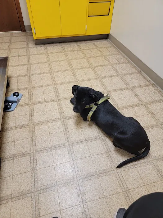 Landings Animal Hospital 12