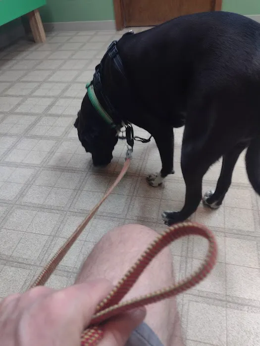 Landings Animal Hospital 12