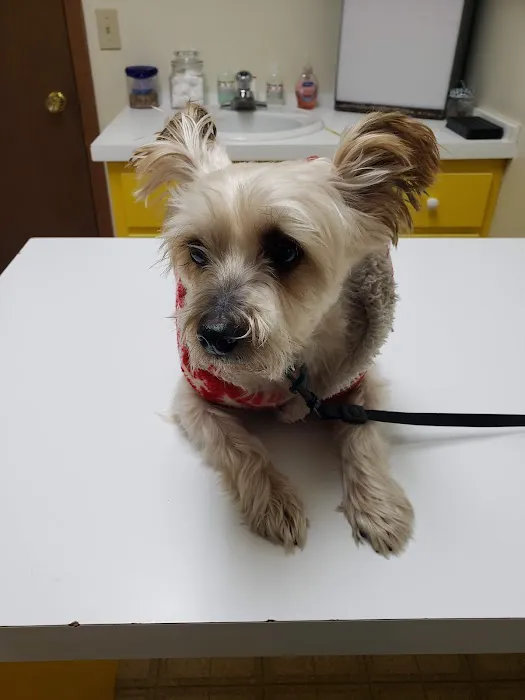 Landings Animal Hospital 12