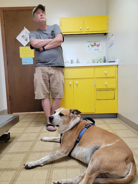 Landings Animal Hospital 12